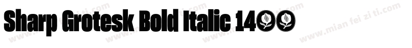 Sharp Grotesk Bold Italic 14字体转换